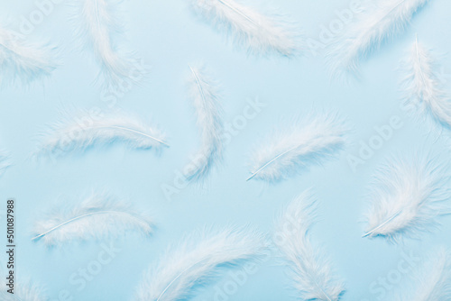 Fototapeta Naklejka Na Ścianę i Meble -  Close up to bright colorful feathers background. Colored feather background, top view