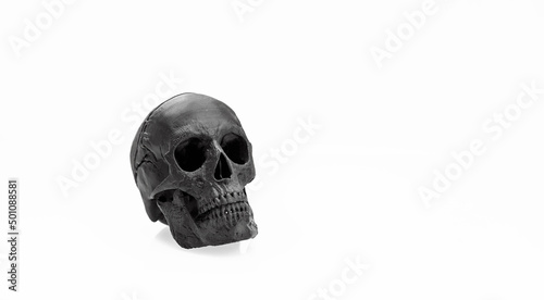 skull black in profile isolated on white background