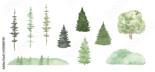 Watercolor woodland trees Illustration for decoration design. Hand drawing. Spring, summer forest green tree. Nature landscape photo