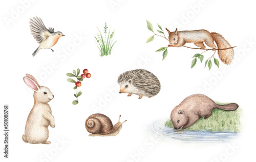 Watercolor forest animals clipart, woodland friends clip art, bunny, squirrel, snail, hedgehog, beaver, bird © Victoria Pak