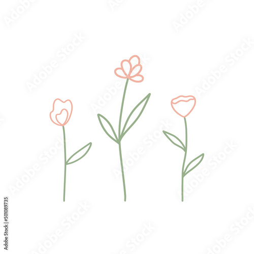 Collection of cute romantic flowers. Vector illustration, floral line art.