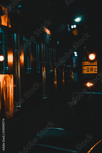 Obraz na płótnie 都会の電車 w salonie