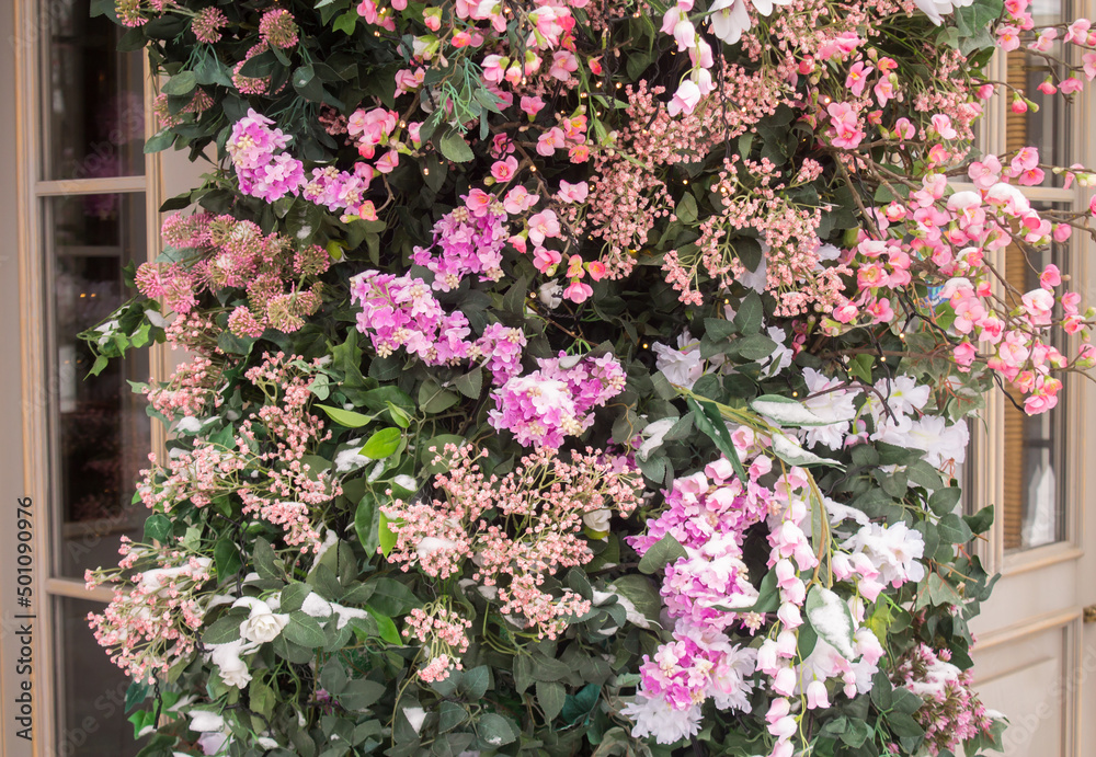 pink flowers in a garden pink flowers in a garden