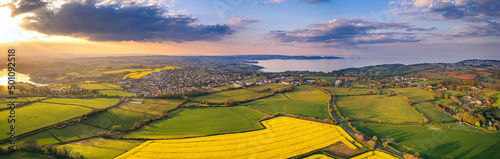 Sunset over Rapeseed fields and Farmlands from a drone  Paignton and Brixham  River Dart  Devon  England