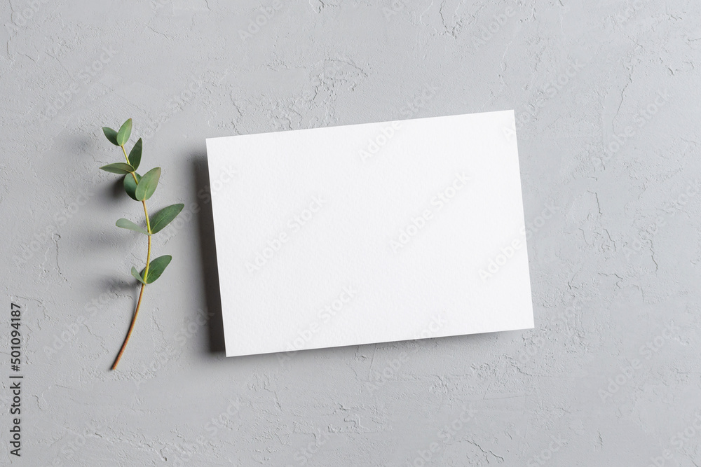 Wedding invitation or greeting card mockup with fresh eucalyptus twig Wedding invitation or greeting card mockup with fresh eucalyptus twig
