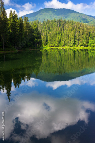 landscape with lake. forest reflection in the water. beautiful background of synevyr national park, ukraine. tranquil nature scene in summer travel season. green outdoor environment