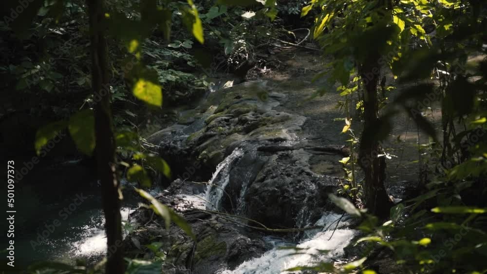 Stream Flowing Through Moss-Covered Rocks In Rainforest. Riviera Maya, Mexico. - Slowmo Stream Flowing Through Moss-Covered Rocks In Rainforest. Riviera Maya, Mexico. - Slowmo
