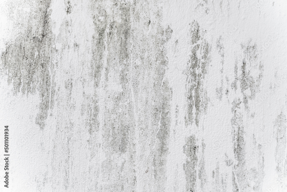 Mortar wall texture. Cement texture background. Concrete bare wallpaper. Old mortar abstract background Mortar wall texture. Cement texture background. Concrete bare wallpaper. Old mortar abstract background