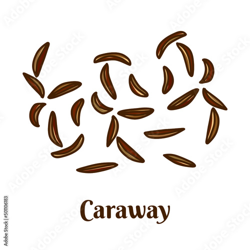 Caraway. Hand drawn flat cartoon vector illustration isolated on white background. 