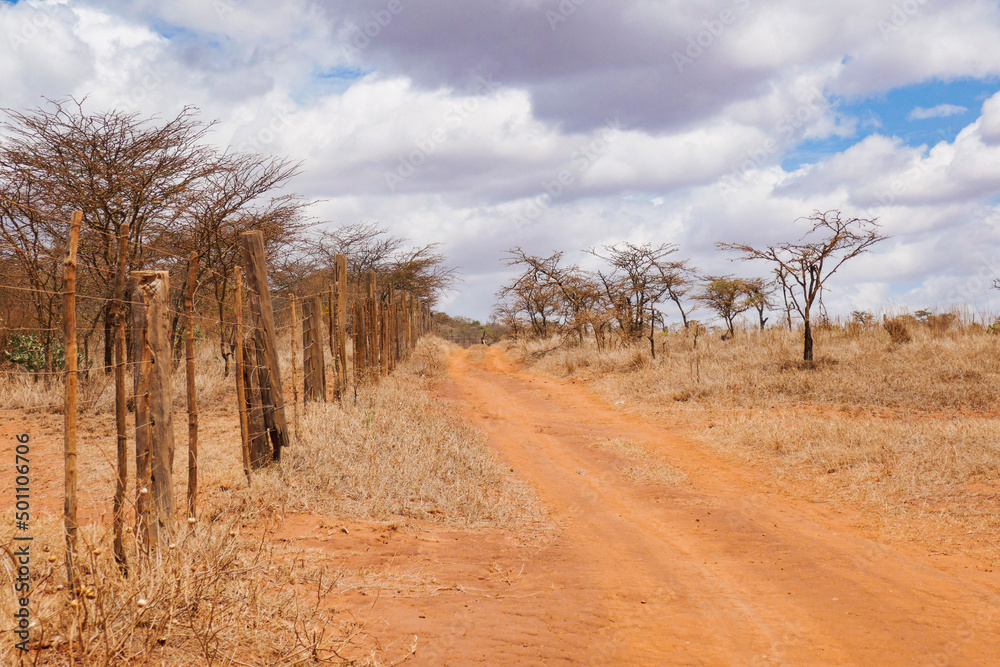 A empty dirt road in the arid landscapes of Nanyuki, Kenya