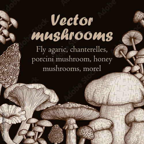 Vector set of forest mushrooms in engraving style. Graphic linear fly agaric, chanterelles, white fungus, honey mushrooms, morel