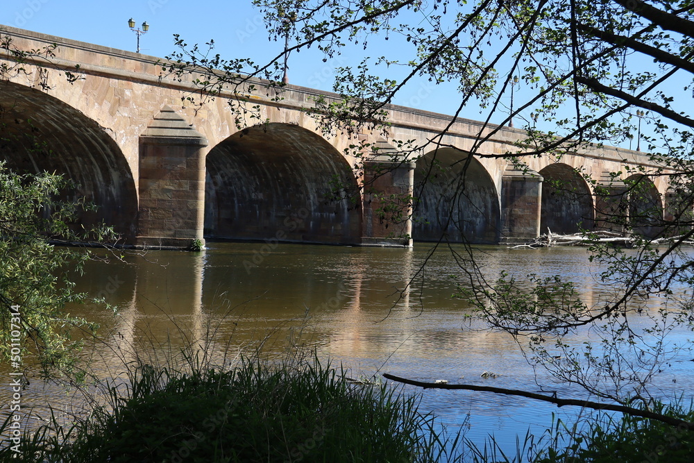 Fototapeta premium Le pont Régemortes sur la rivière Allier, ville de Moulins, département de l'Allier, France