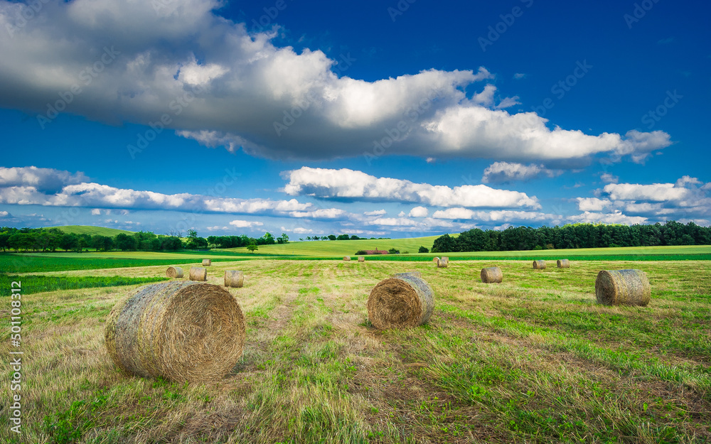 Hay bale farm field. Hay bale on the meadow after harvest in Hungary