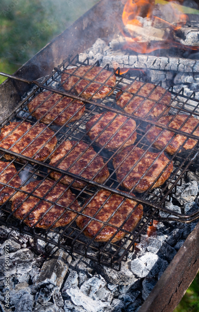 The meat is fried on the fire. Grilled meat The meat is fried on the fire. Grilled meat