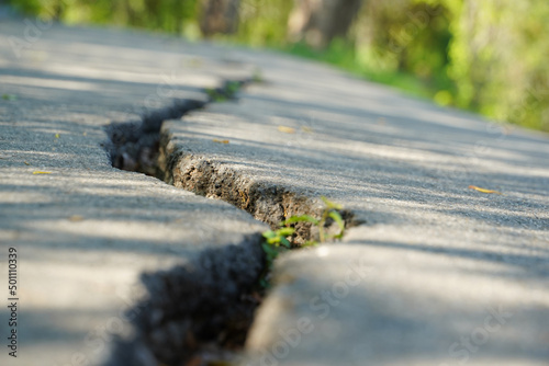 crack in the sidewalk of a park. alley in the park with cracks. detail. photo during the day.