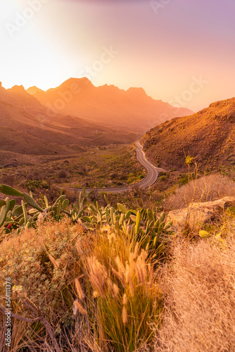 View of road and flora in mountainous landscape during golden hour near Tasarte, Gran Canaria, Canary Islands