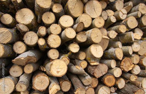 Stacked loggs of fire wood texture background.