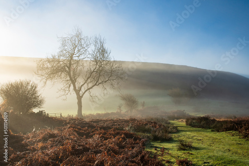 Mid-winter sunlight, and mist around Hutton Le Hole moorland village in Farndale, North Yorkshire, Yorkshire