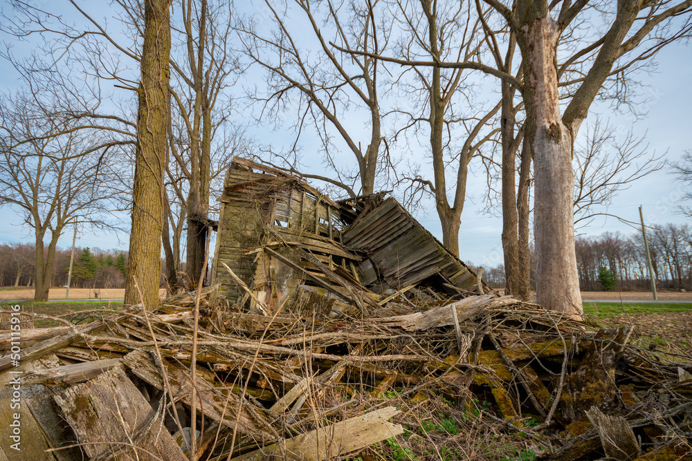 Abandoned House Reclaimed by Nature Abandoned House Reclaimed by Nature
