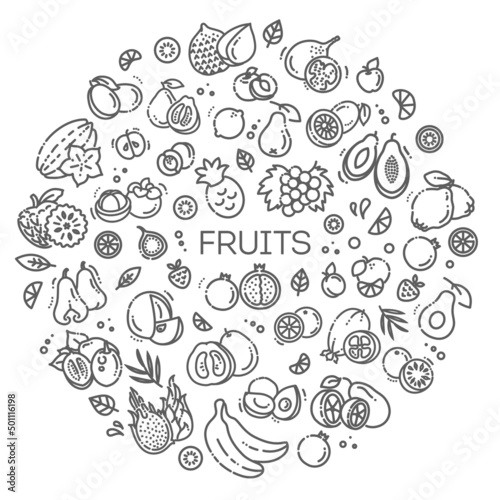 Fruits doodle drawing art. illustration