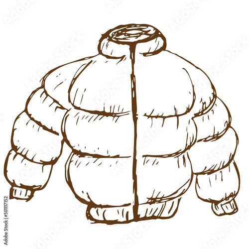 Vector line drawing of a down jacket. Rough vintage monochrome brown freehand illustration isolated on transparent background