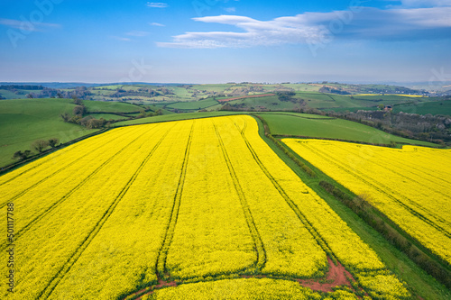 Panorama over Farmlands and Rapeseed fields from a drone, Devon, England © Maciej Olszewski