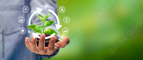 Hand holding young plant with recycle icon-Sustainable strategy for future. Ecology and Environment concept photo
