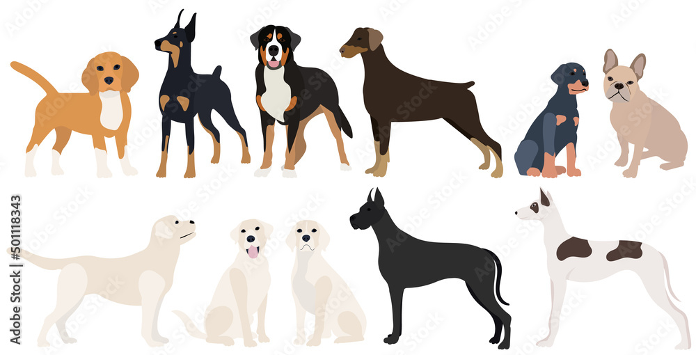 dogs set flat design , isolated on white background, vector