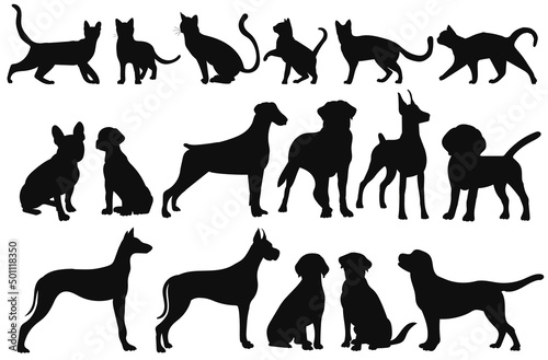 Foto cats and dogs silhouette set, on white background, isolated, vector
