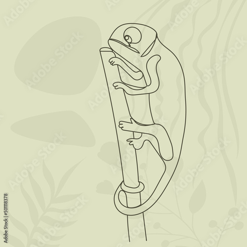 chameleon continuous line drawing, sketch, on abstract background vector