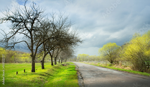 art rural landscape. Spring countryside landscape with Spring trees and empty rural road before rain