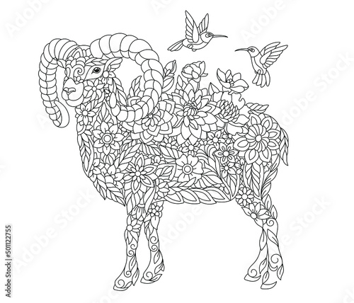 Floral adult coloring book page. Fairy tale ram or goat. Ethereal animal consisting of flowers, leaves and hummingbirds. 