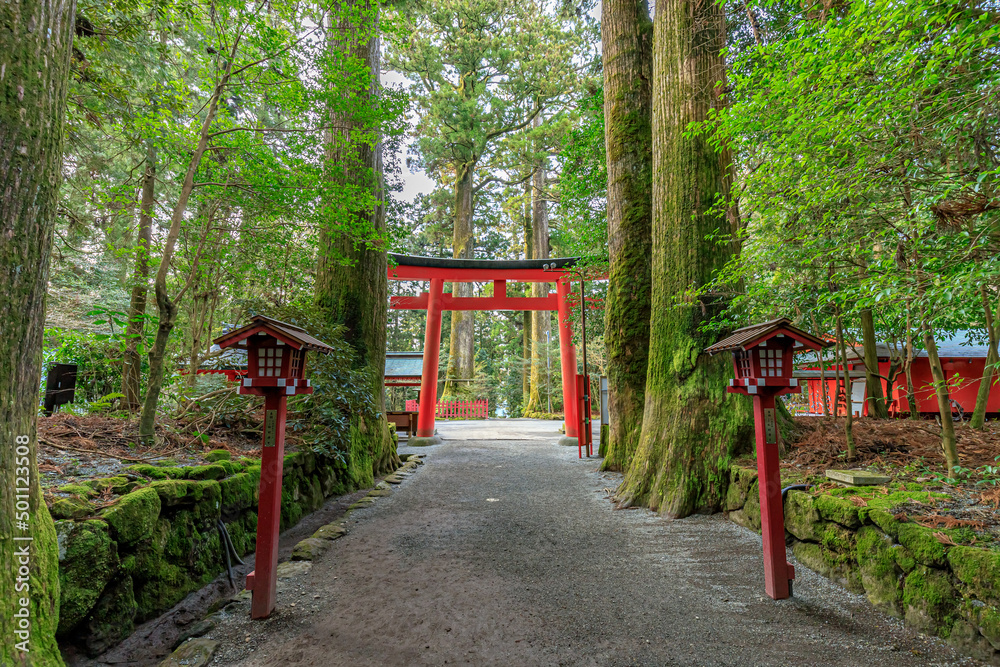 初春の箱根神社 神奈川県箱根町 Hakone Shrine in early spring. Kanagawa-ken Hakone town. 初春の箱根神社 神奈川県箱根町 Hakone Shrine in early spring. Kanagawa-ken Hakone town.