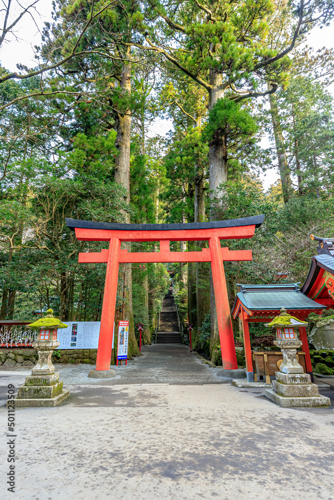 初春の箱根神社 神奈川県箱根町 Hakone Shrine in early spring. Kanagawa-ken Hakone town. 初春の箱根神社 神奈川県箱根町 Hakone Shrine in early spring. Kanagawa-ken Hakone town.