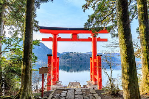 初春の箱根神社　平和の鳥居　神奈川県箱根町　Hakone Shrine in early spring. 
Torii of Peace. Kanagawa-ken Hakone town. photo