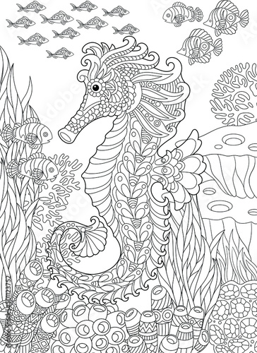 Adult coloring book page. Seahorse and underwater background.