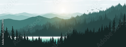 Landscape in the morning. Pine forest with fog.
