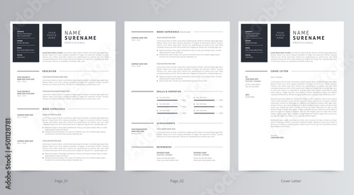 Professional Resume/CV and Cover Letter Template