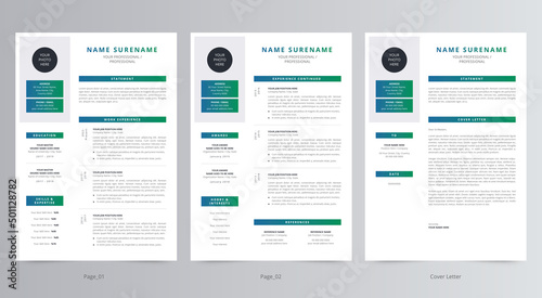 Professional Resume/CV and Cover Letter Template