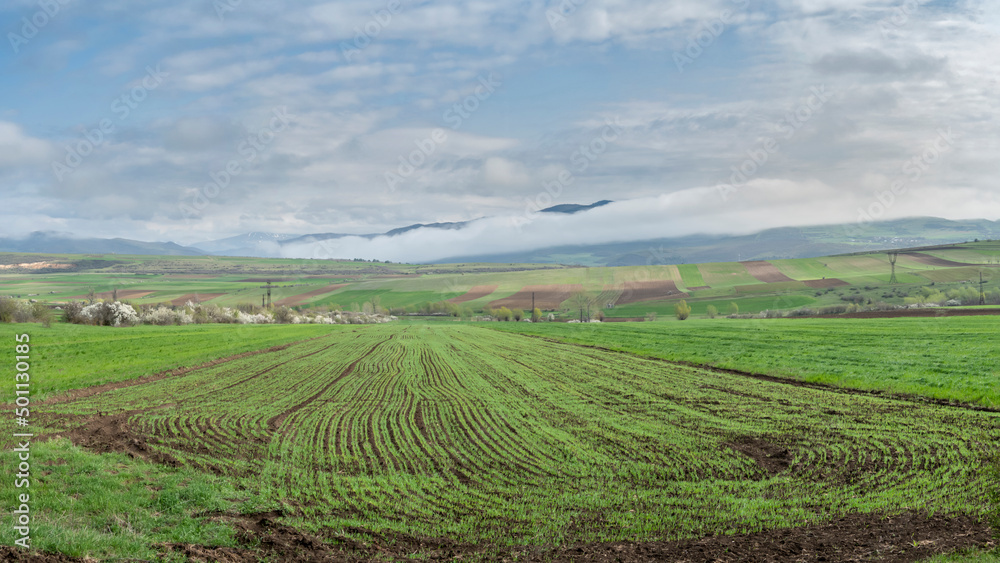 Agricultural plowed fields against the backdrop of a mountain range and a blue sky with white clouds.