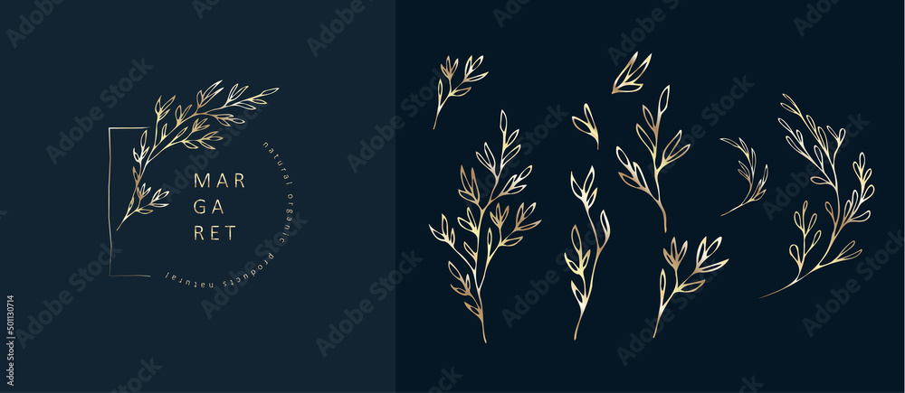 Set of inimal feminine botanical floral branch and logo. Hand drawn wedding herb, homeplant with elegant leaves. Botanical rustic trendy greenery vector - obrazy, fototapety, plakaty 