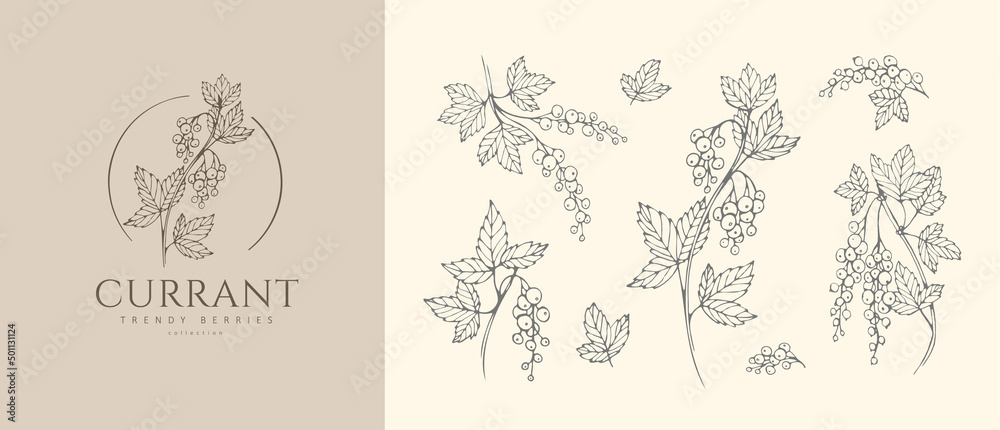 Currants berries flowers floral branch and logo set. Hand drawn line herb, elegant leaves for invitation save the date card. Botanical rustic