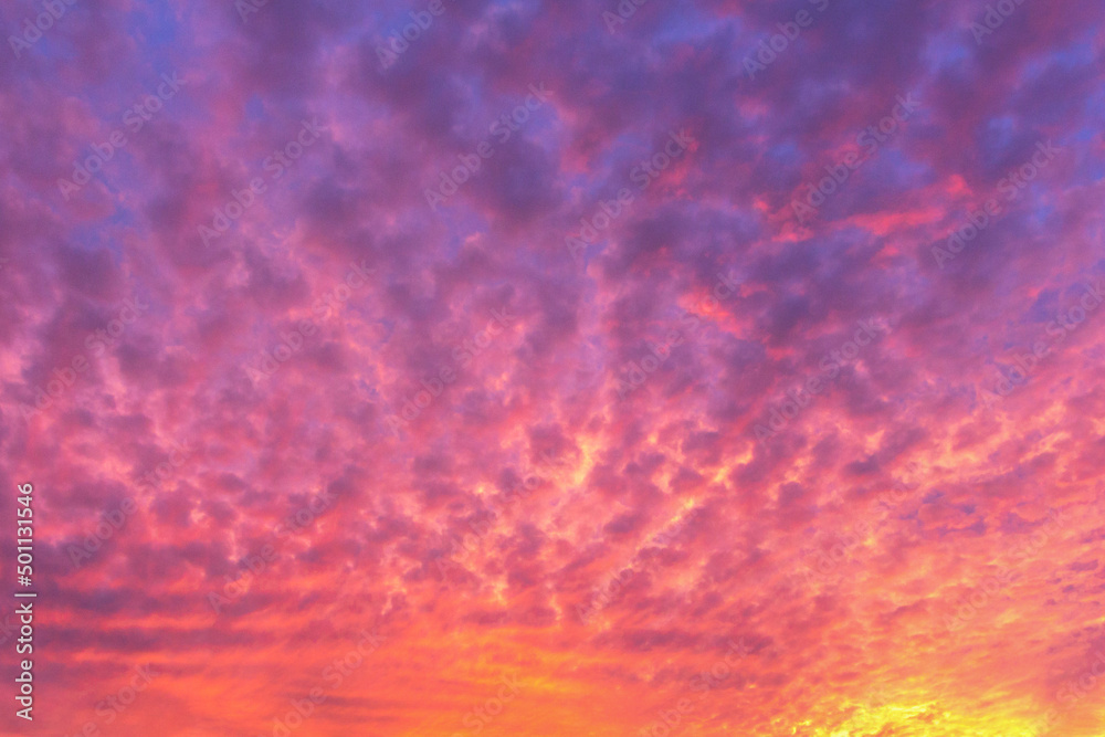Beautiful colorful sky background at sunset with rippled clouds. Pink, blue, purple, orange tones and cloud patterns