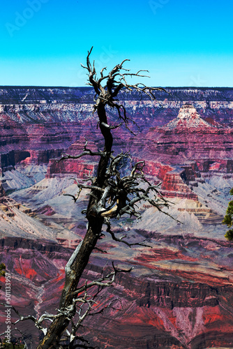 Abstracted view of the colorful Grand Canyon