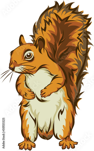 Squirrel, squirrel figure, realistic image, vector, positions, illustration, black and white, color, silhouette, logo, trademark, chevron