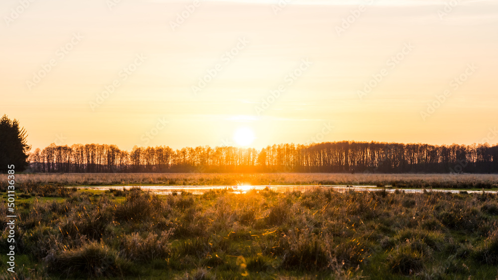 golden sunset over a pasture with a pond and trees in the background