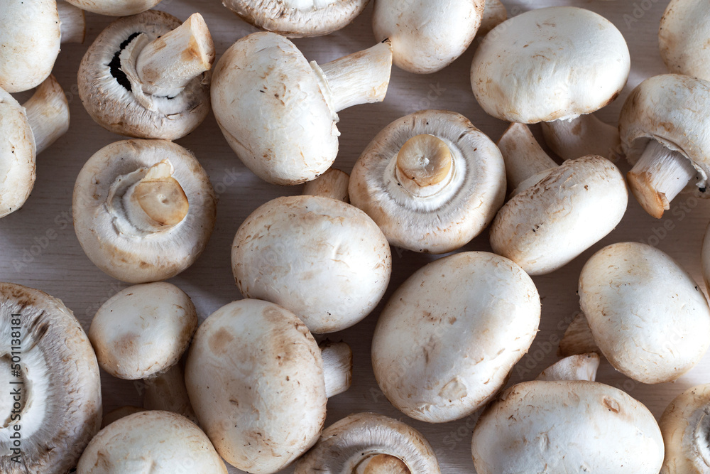 White fresh cooked champignons. Flat ley. Texture White fresh cooked champignons. Flat ley. Texture