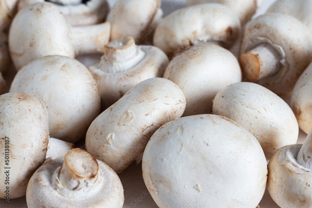 Texture of white fresh champignons. Background Texture of white fresh champignons. Background