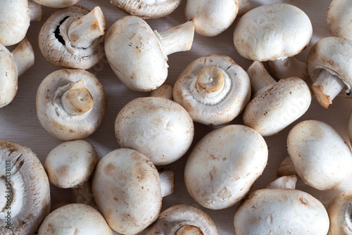 White fresh cooked champignons. Flat ley. Texture