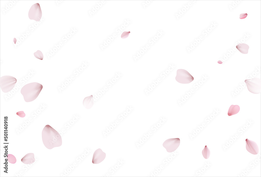 Pink sakura vector background, cherry flowers Pink sakura vector background, cherry flowers